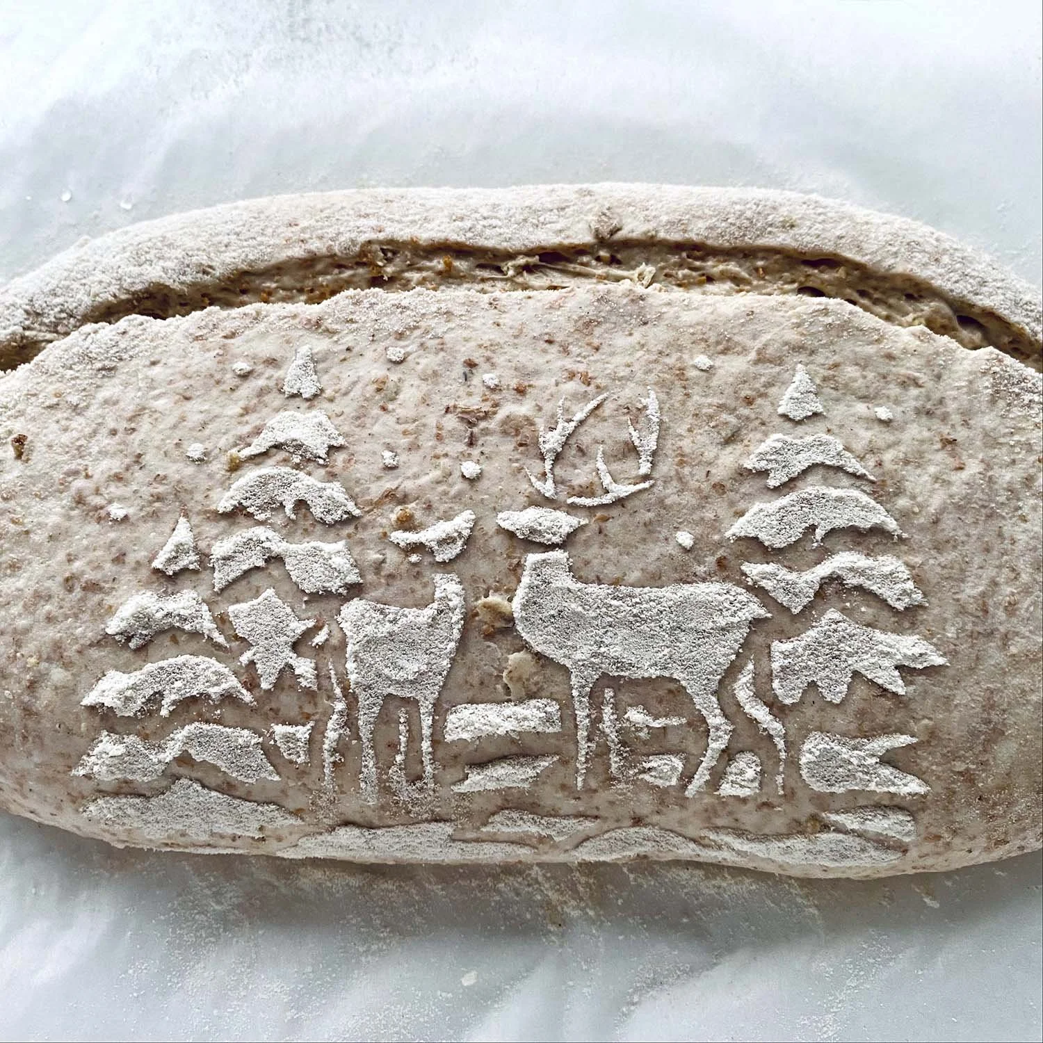 Bread Art 25 — SOURDOUGH FEVER